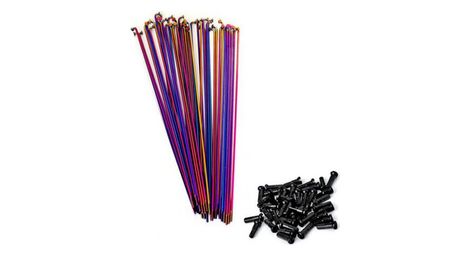 Rayons total db rainbow 186mm (x20)