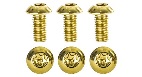 Kit de 6 vis de disque neatt inox m5x10mm or