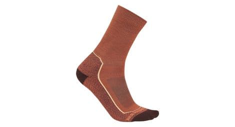 Chaussettes icebreaker merino hike+ marron femme