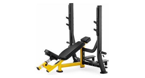 Banc incliné - 135 kg - 300 x 230 mm fitness sport musculation