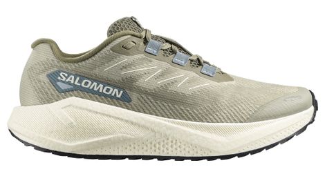 Salomon Aero Blaze 3 GRVL hardloopschoenen voor heren, kaki