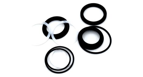 WSS - IsoStrut Air Can Seal Kit