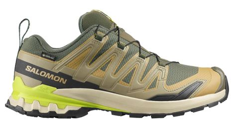 Chaussures Trail Salomon XA Pro 3D v9 GTX Kaki Homme