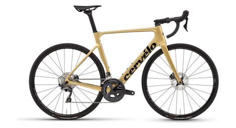 Cervélo soloist rennrad shimano ultegra 11s 700 mm gold dust 2024