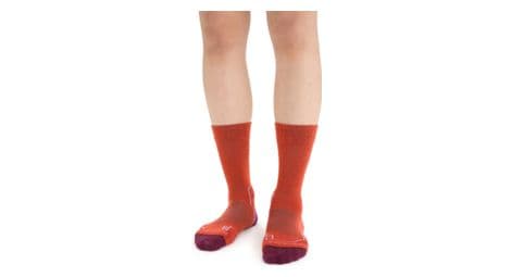Icebreaker hike+ women's merino socks orange/purple