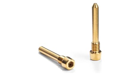 Paire de vis d'axe de plaquettes titane m4 x 23 mm pour frein shimano absoluteblack or