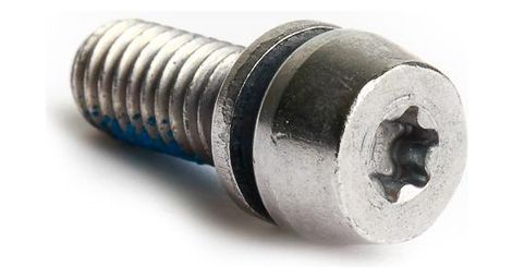 Vis d'étrier pm magura acier torx 25 (x10)