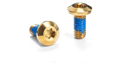 pair of titanium bottle hanger screws m5 x 12 mm absoluteblack gold