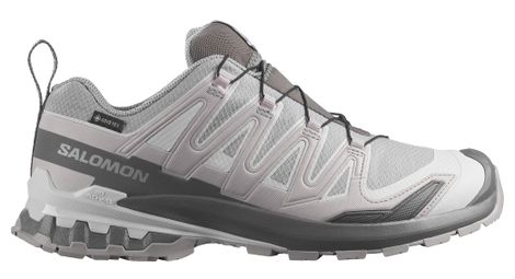 Chaussures Trail Salomon XA Pro 3D V9 GTX Gris Homme
