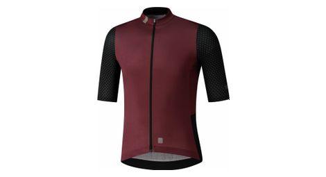 Maillot shimano evolve