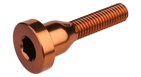 Vis de capot de direction burgtec top cap bolt bronze