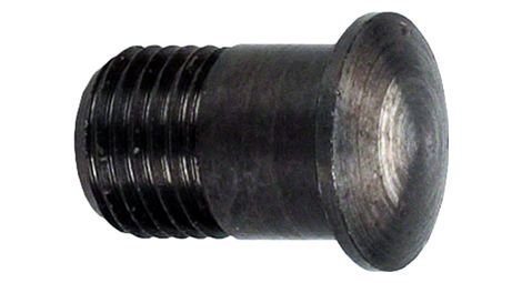 Magnetische Speichennippel Campagnolo Shamal / Eurus