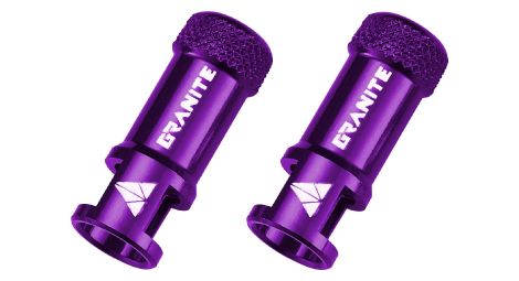 Capuchons de valve démonte-obus violet