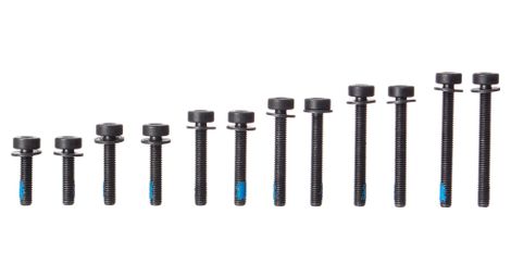 Visserie torx magura flat mount arriere