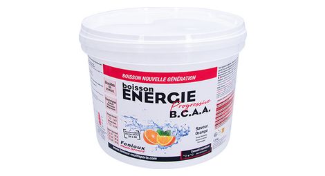 Energy drink fenioux energie progressive bcaa orange 1.5kg