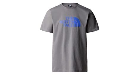 Camiseta lifestyle the north face easy gris l