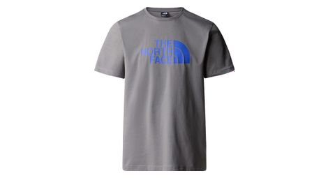 Camiseta lifestyle the north face easy gris