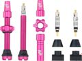 Wolf Tooth Presta Tubeless Valve Kit - Pink