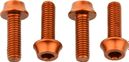 Wolf Tooth Schrauben für Flaschenhalter (x4) M5x15 mm Orange