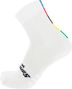 Santini UCI Campione del Mondo Ufficiale Calzini Unisex Bianco