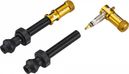 Pair of Granite Design Juicy Nipple Tubeless Valves 80 mm with Gold Shell Removal Plugs