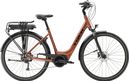 Vélo de Ville Électrique Trek Verve+ 1 Lowstep Shimano Tourney/Altus 8V 300 Wh Orange Foncé 2023