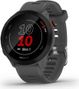 Montre de Sport Garmin Forerunner 55 Gris Foncé