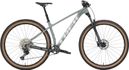 VTT Trek Procaliber 6 Shimano 12V 29'' Gris Desert Sage 2027