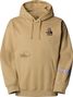 The North Face Mountain Cleanup Unisex Oversized Hoodie Green