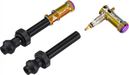 Paar Juicy Nippel Tubeless Ventile im Granite Design 80 mm mit Oil Slick Schalenentferner