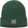 Columbia City Trek - Berretto unisex verde
