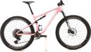 Produit reconditionné · Specialized Epic Pro AXS / Vélo VTT | Très bon état