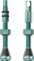 Valvole tubeless Holeshot Fast Flow di Peaty's, verde giada