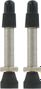 VAR Kit 2 Valves Tubeless Laiton 35 mm Argent