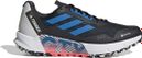 adidas running Terrex Agravic Flow 2 GTX Black Blue Men's Trail Shoes