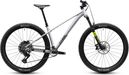 Cube Reaction TM Pro Sram 12V 29'' Mountain Bike, Raw Gray, 2027