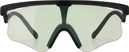 Alba Optics Glasses Delta Black Vzum F-Lens Beetle Lei