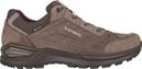 Lowa Renegade Evo Gtx Lo Brown Hiking Boots