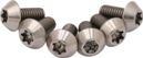 Pride Racing T25 Titanium Silver Disc Screws