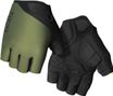 Giro Jag Kurzhandschuhe Grün / Schwarz