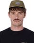 Circle Run Planet 2.0 Cap - Green