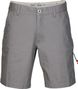 Fox 3.0 Essex Grey shorts