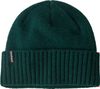 Bonnet Unisexe Patagonia Brodeo Vert