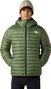 The North Face Terra Peak heren capuchonjas groen