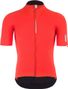Maillot de manga corta Q36.5 Pinstripe PRO Rojo