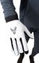 Animoz Pure Long Gloves - Gray 