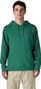Sudadera con capucha Patagonia P-6 Label Uprisal Hoody verde para hombre