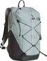 Mochila The North Face Borealis Trail Gris
