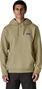 Sudadera con capucha Patagonia P-6 Label Uprisal Hoody verde para hombre