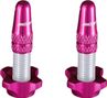 Ice Kit de tapones de aluminio (x2) y tuercas (x2) Airflow Fucsia 
